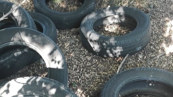 pneumatici cerano