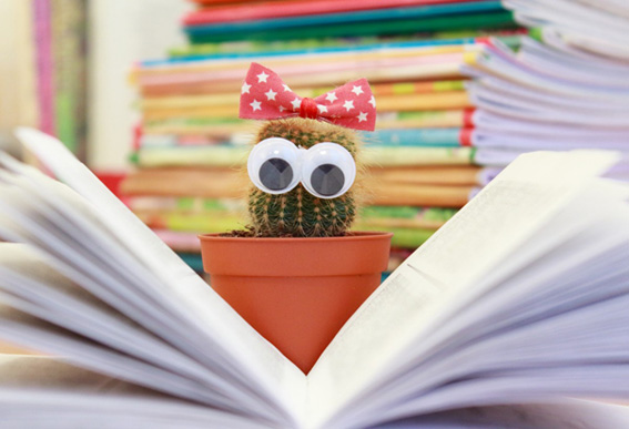 thumbnail libri bimbi