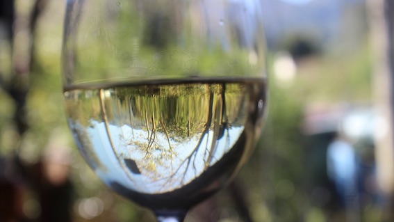 vino bianco