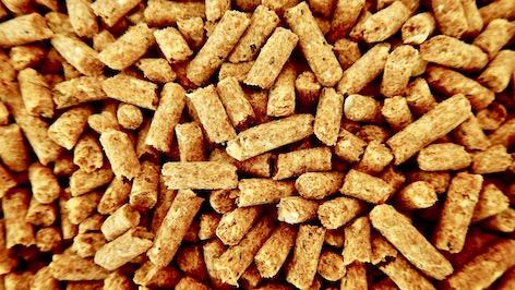 pellet