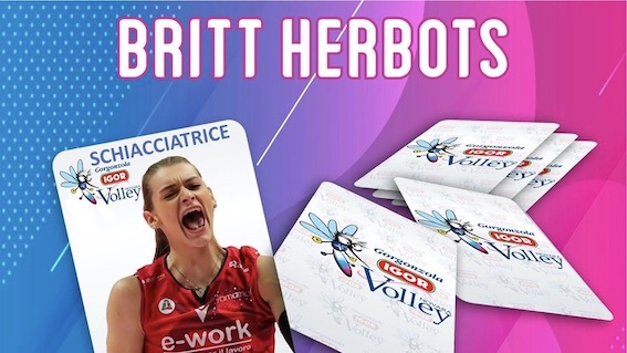 igor herbots