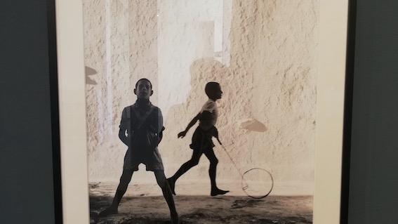 mostra branzi