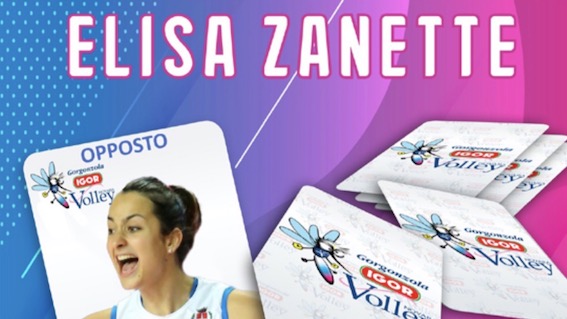 zanette igor