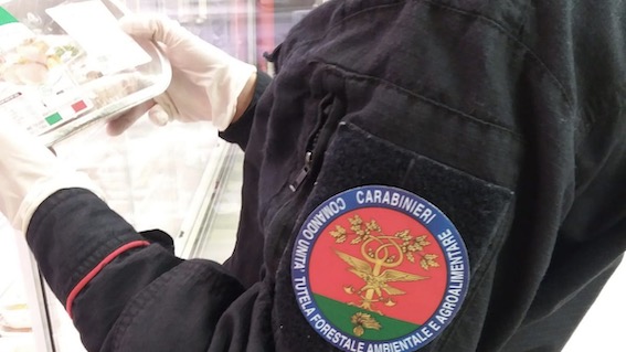 controlli forestale
