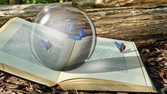 libro favole