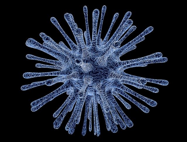 virus foto