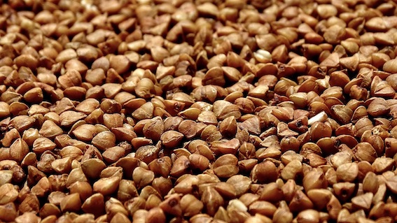 grano saraceno