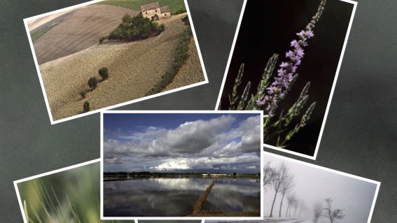 mostra faraggiana