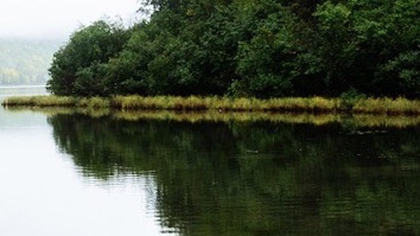 acqua fiume