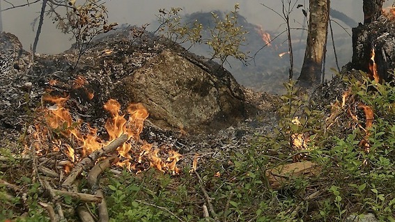 Piemonte, revocato lo stato di massima pericolosità per gli incendi boschivi