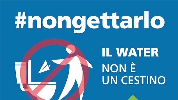 momo wc
