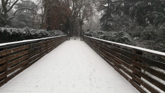 neve novara 1