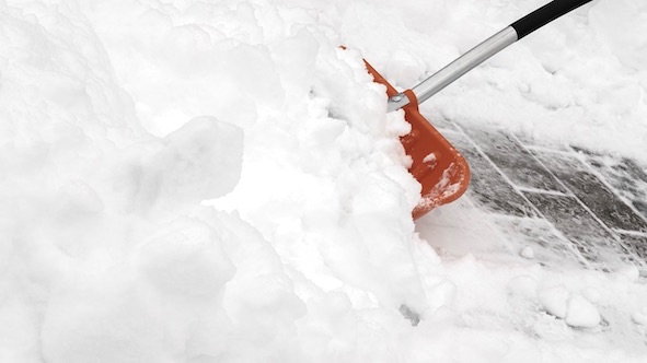 pala neve