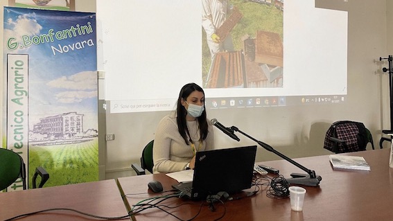 regalli bonfantini