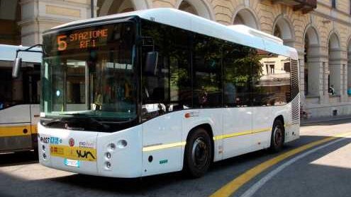 bus sun novara