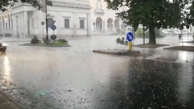novara grandinata