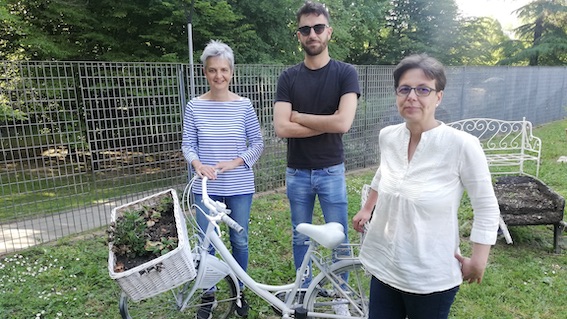 novara green