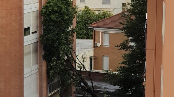 maltempo novara