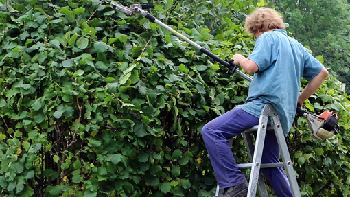 Anche per diversi comuni del Novarese finanziamenti regionali per cantieri di lavoro per disoccupati