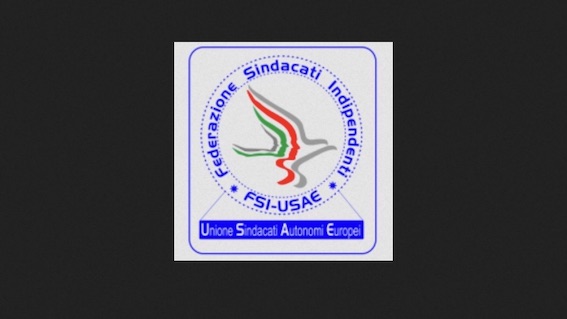 usae logo