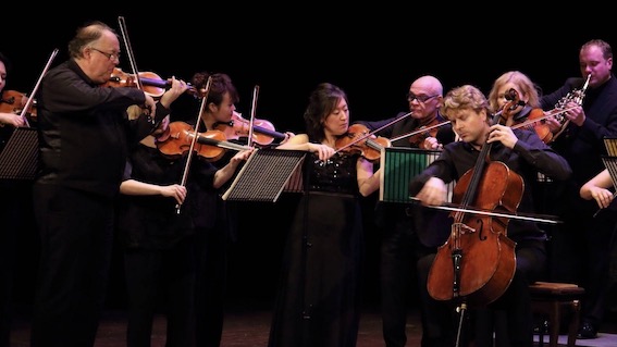 festival cantelli