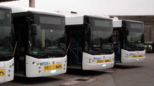 bus sun