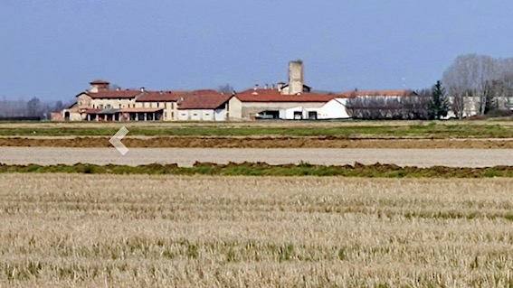 casaleggio foto