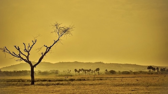 foto siccita
