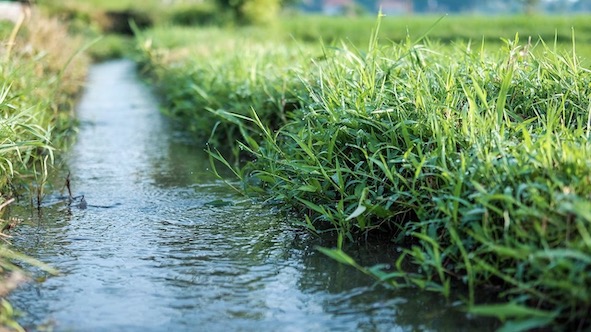 canale irrigazione