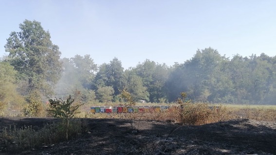 foto galliate
