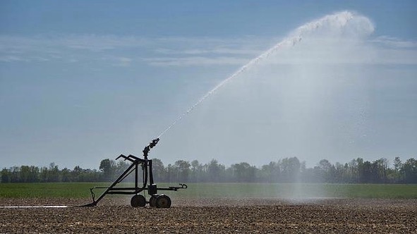 irrigazione agricoltura