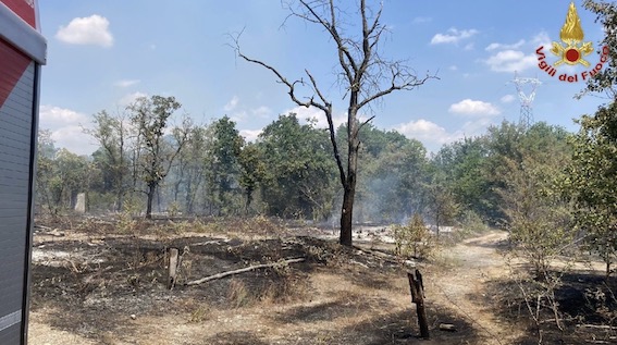 trecate incendio 1