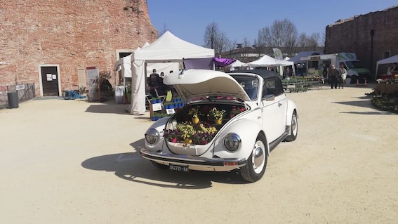 fiorissimo 1