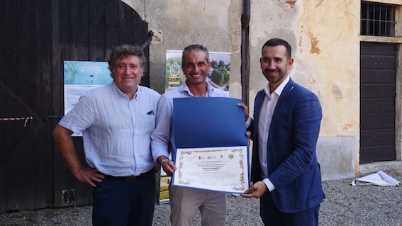 brustia premio