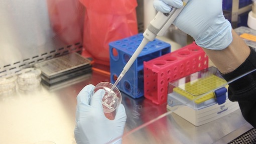 laboratorio