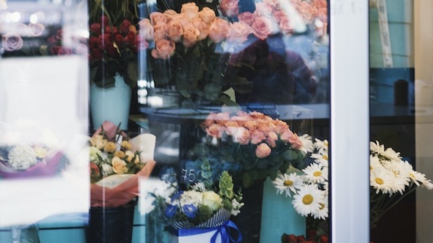vetrina fiori