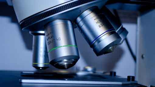 microscopio foto