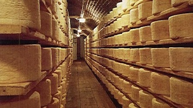 gorgonzola celle
