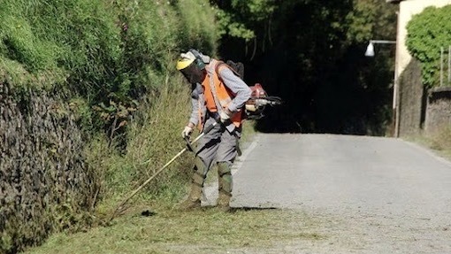 tagliare erba