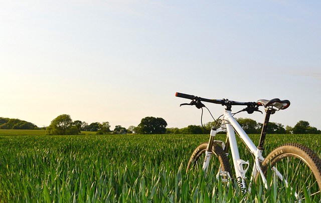 bicicletta campo