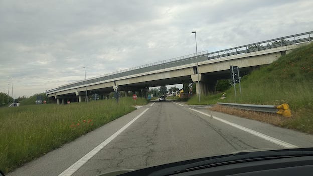 cameri erba alta
