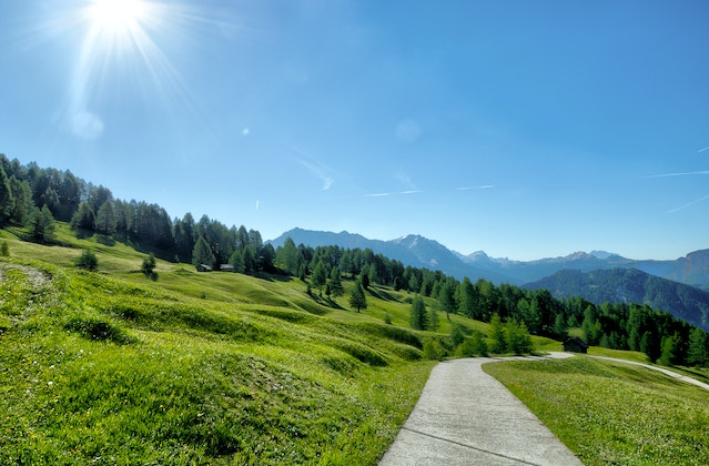 montagna campo alberi