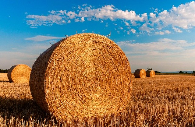 agricoltura