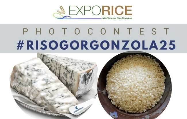 contest riso e gorgonzola 25