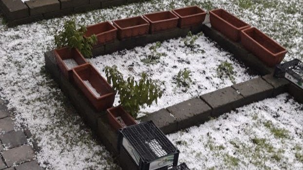 grandinata arona set 25