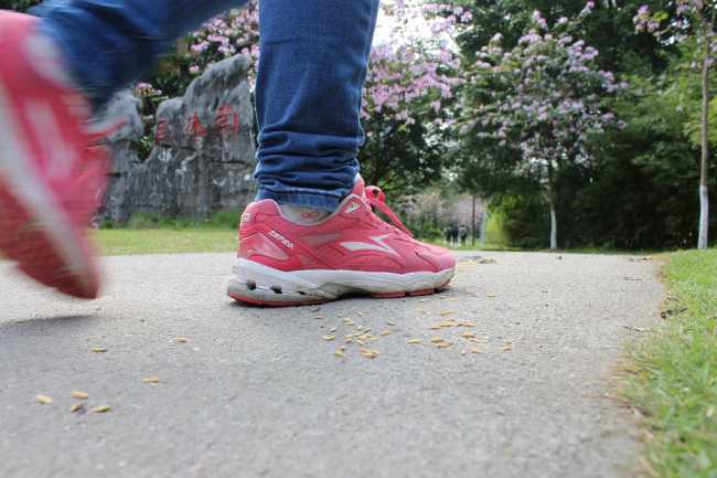 Asl No, corso di formazione gratuito per capi camminata 