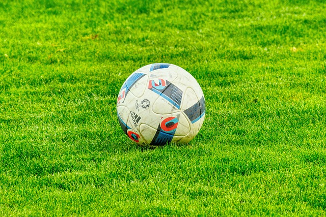 pallone calcio 2