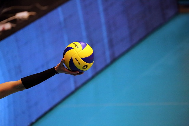 volleyball 4108495 640