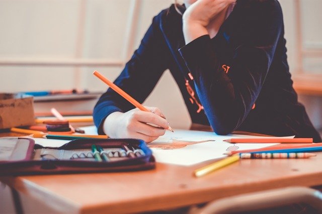 alunno studente scuola