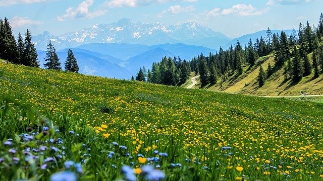 montagna paesaggio